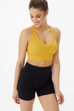 Step Up Crossback High Support Sport Bra